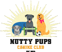 Nuttypupscanineclub Sticker by Nutty Pups