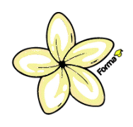 Porto Seguro Summer Sticker by Forma Turismo