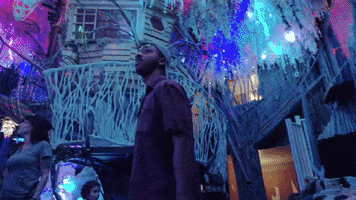 meowwolf meow wolf meowwolf meow wolf santa fe house of eternal return GIF