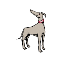 U Of I Logo Sticker by University of Indianapolis