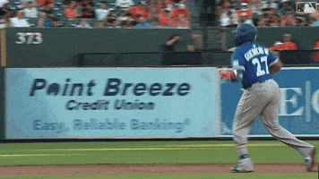 Blue Jays Baseball GIF by Toronto Blue Jays
