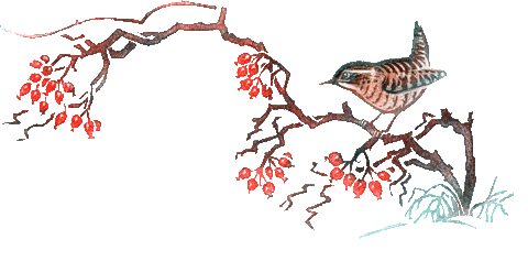 BrandstaetterVerlag giphyupload winter book vogel Sticker