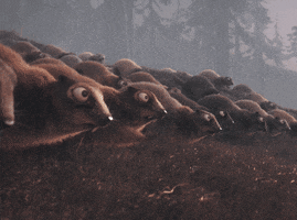 Groundhog Day Omg GIF by ENSI