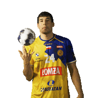 Sport Handball Sticker by VIVE KIELCE