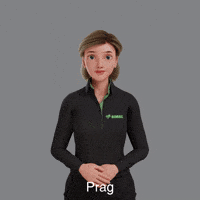 Avatar Gebärdensprache GIF by Sign Time - SiMAX