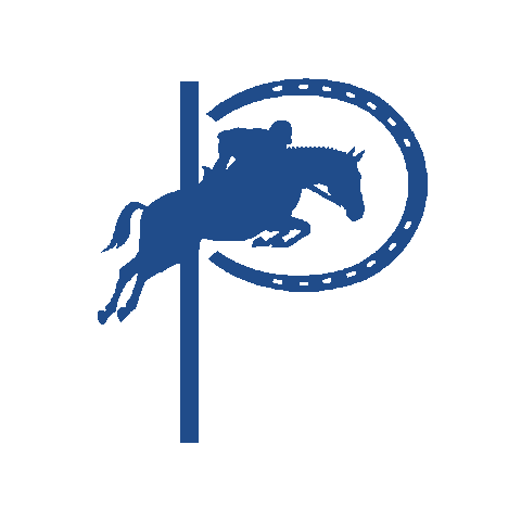 PasoPark giphygifmaker horse horses horse show Sticker