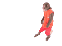 Fun Monkey Sticker