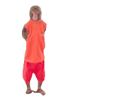 Fun Monkey Sticker