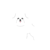 Misokodog Sticker by Nature's Protection