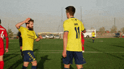 lokomotiv tashkent fisker GIF by Brøndby IF