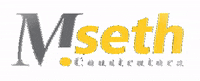MSethCons mseth GIF
