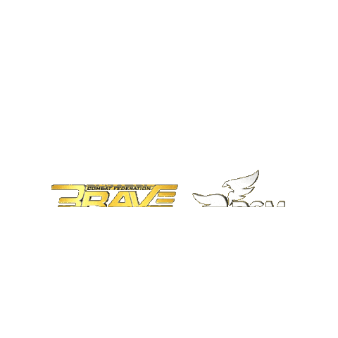 Sport Fighting Sticker by BRAVE Combat Federation