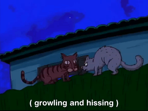 rocket power nicksplat GIF