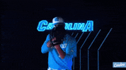 North Carolina Baseball GIF by UNC Tar Heels