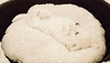 pillow lying GIF