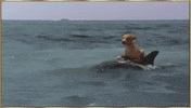 ride ima GIF