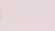 Football Sport GIF by FC Red Bull Salzburg