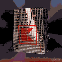 KauflandCesko party bag kaufland pricefever GIF