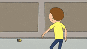 Rick And Morty Summer GIF by Adult Swim
