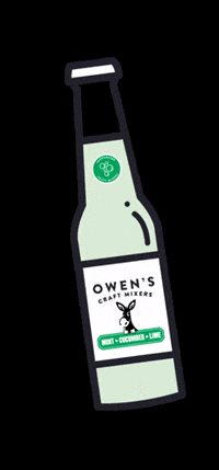 OwensMixers drink cheers drunk drinking GIF