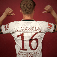 Bundesliga GIF by FC Augsburg 1907