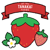 TanakaFarms fun pink red flower Sticker