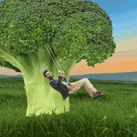 Tree Swing GIF by Welcome! At America’s Diner we pronounce it GIF.