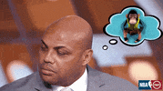 charles barkley chuck GIF by NBA on TNT