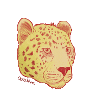 DeusMarcaStudio wink winking leopard deus Sticker