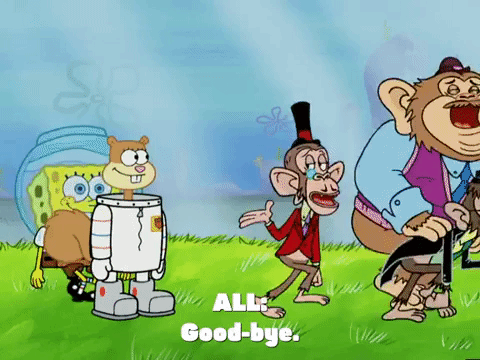 season 4 episode 10 GIF by SpongeBob SquarePants