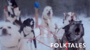 Dogs Puppy GIF by Magnolia Pictures
