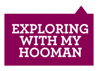 Explore Love Dogs Sticker by puppytales