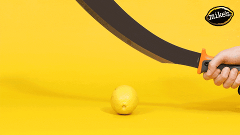 GIF by mikeslemonadeca