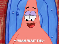 season 6 pet or pets GIF by SpongeBob SquarePants