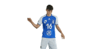 Sport Celebration Sticker by vfb_volleyball
