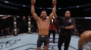 jeremy stephens ufc GIF