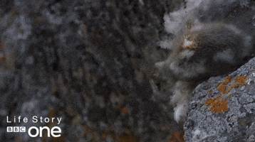 Jumping Bbc One GIF by BBC