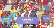 Donald Trump Florida GIF by GIPHY News