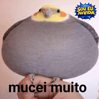 Comida Ave GIF by Sou Eu Na Vida