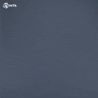 Angelique Kerber Wink GIF by WTA