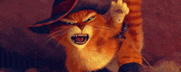 cat shrek GIF