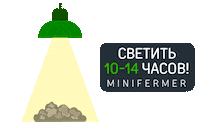 minifermer дача урожай огород фермер Sticker