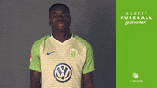 bundesliga thumbs up GIF by VfL Wolfsburg