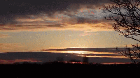 hamnahasif giphygifmaker coffee morning GIF