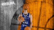 Koripallo Koris GIF by Basket_fi
