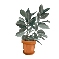 Plant Leaf Sticker