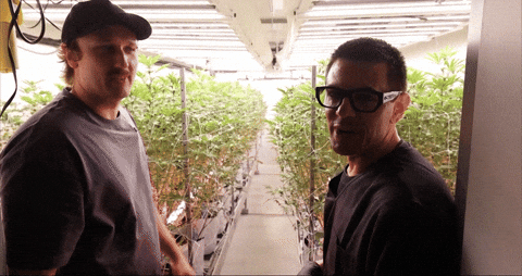 Bloom Andrew GIF by Exclusive Brands