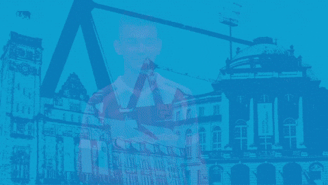 Football Tor GIF by ChemnitzerFC