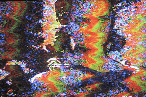 art video GIF by Tachyons+