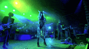 m83 GIF by Bonnaroo Music and Arts Festival